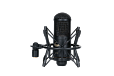 МКЛ-4000 (МКЛ-4000 (черный, деревянный футляр))